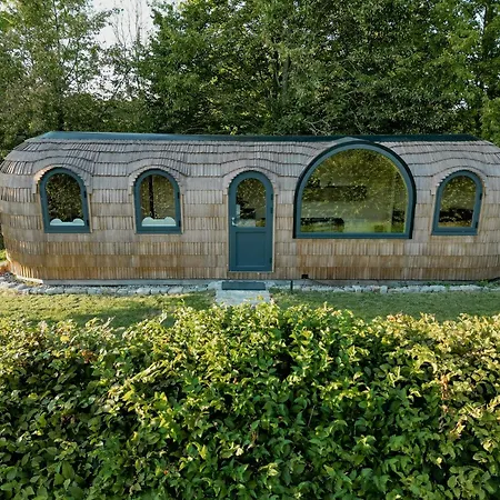 Feel Grounded In Igloo House With Pool And Gym *